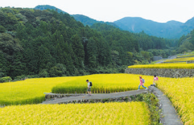 東峰村2